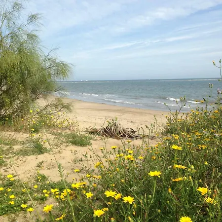 Sueno Del Mar